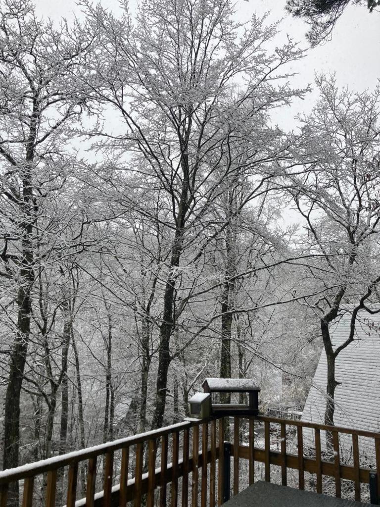 Chalet 190 La Belle Durbuy Bagian luar foto